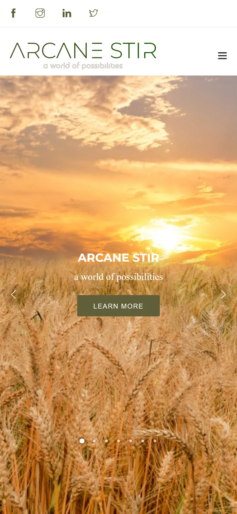 Arcane Stir home page on mobile